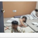 사궁두미 479 이미지