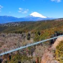 여행프라자㈜ 이미지