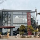 소솜(SOSOM) 이미지