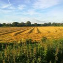 손해평가사 1차 이미지