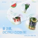 [주애키친 x 바퀜] 마하 기기형 진공밀폐 용기 (주애추천세트 6종 + 투고 듀얼 세트)