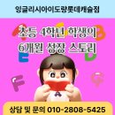 자신감 뿜뿜, 발표력 쑥쑥 (B) | [공지] 흥미 쑥쑥! 자신감 뿜뿜! 우리 초등 4학년 학생의 6개월 영어 성장 스토리!-잉글리시아이도량...
