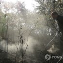 동부농산 이미지