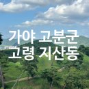 P-7103 | [경북 여행] 고령 지산동 고분군, 대가야의 역사가 살아있는 유네스코 세계유산