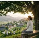 여름나무mp3 이미지