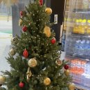 천연발효쌀빵과 쌀디저트 | 방배동 빵집 제과명인 &#34;라파티세리킴 본점&#34; 천연발효빵 생크림케이크 소금빵 맛집