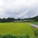 노암1리 진등 이미지