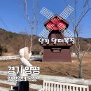 놀이터목장 | 양평 가볼만한곳 양떼목장 먹이주기 체험 놀이터 내돈내산 후기