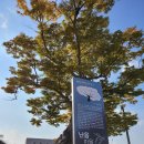 무민사 | 21년 10월 남해 보리암 기도후기