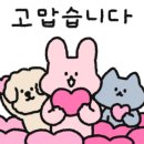 H3374 이미지
