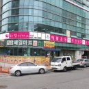 밸리댄스 주간 이미지