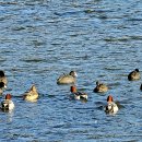 남가람 문화거리 이미지