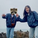 제주도 1박 2일 여행! 4월의 제주, 서귀포 훑고 온 후기