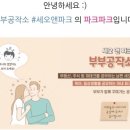 사파동290 이미지