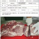 평화의 마을 Daum카페