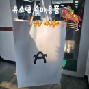 선진6길 | 학생승마 n년차 유소년승마단 준비 초등학생 승마용품 구매후기