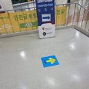 IGC글로벌캠퍼스 수영장 이미지