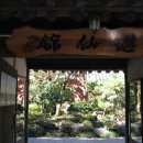 유선여관 이미지