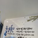 카페카사페 | 인천 송도 카페 카사페 연세대점 :송도신도시카공,연세대카공카페,베이커리 맛집 스터디카페 추천