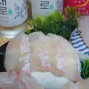 바다회세꼬시