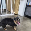 멍털연구소 이미지