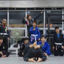 타이거 주짓수 이미지