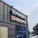 대한렌트카 | 4개월 아기랑 제주여행, 테슬라Y 렌트 후기 뉴대한렌트카