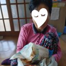 햇살맛고을