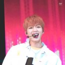 영미니네 이미지