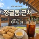 외간정글돔하우스 | 거제 브런치카페 추천｜정글돔 근처 한옥카페 더외간 후기