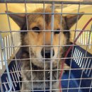 칠원지구대 이미지