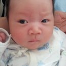 유림 Daum카페