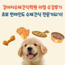 옆집강아지 | 내 아이 간식 직접 만들기! 강아지수제간식학원 리얼 수강 후기