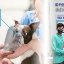 유니온 펫 이미지