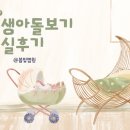 22-D | [임신일기 D-22] 봄빛병원 신생아돌보기 교실후기