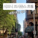 미주덴탈 | 호텔: 가장 완벽한 뷰를 영원의 순간으로 편집하다 The Novella Edit (내돈내산 후기 feat. 호주 팁 문화)