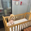 한우 한돈프라자 이미지