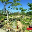 한밭수목원 이미지