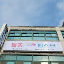 봄꽃햄스터