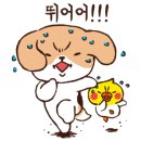 리얼터키 이미지