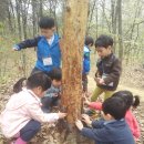 기흥삼성어린이집 이미지