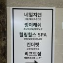 마곡네일 네일지앤 웨딩네일 이달의 아트