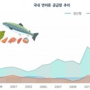 국민연어 이미지