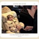 시크 NEW 제로맥스360 내돈내산 한달이상 사용 후기