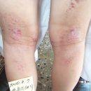 본가한의원 이미지