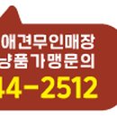 견생냥품 무인24시 안성 아양점 이미지