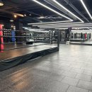 카운터복싱짐 이미지