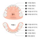 누리꿈서울치과의원 이미지