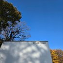 외성삼거리 농협하나로마트 앞 | 휘게포레스트 B11 노키즈존 11월 가을캠핑 돌풍에서 살아남은 후기