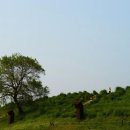 수로왕릉역(타고가야) 이미지